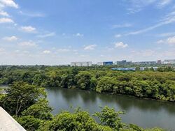 Kingsford Waterbay (D19), Apartment #621184211